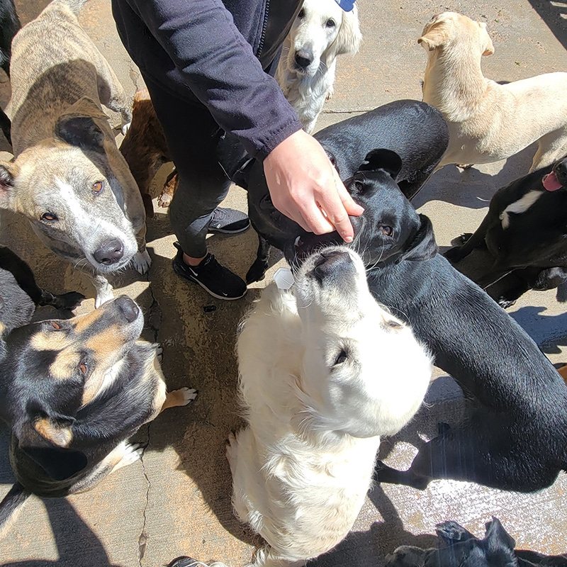 A Hobnob staff member surrounded by a happy daycare play group